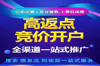 SEM推广竞价策略案例分析